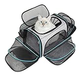 BERTASCHE Transporttasche für Katzen Kleine Hunde Faltbar Tragetasche Katze Transportbox für Flugzeug Auto Reise