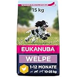 Eukanuba Welpenfutter mit frischem Huhn für mittelgroße Rassen, Premium Trockenfutter für Junior Hunde, 15 kg