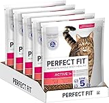 PERFECT FIT Adult Trockenfutter für erwachsene, aktive Katzen ab 1 Jahr - Rind, 1,4 kg (5 Beutel)