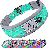 Joytale Hundehalsband, Weich Gepolstert Neopren Halsbänder für Mittlere Hunde, Nylon Reflektierend Breit Halsband Hund, Türkis