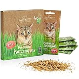 PRETTY KITTY Premium Katzengras Saatmischung: 5 Beutel je 25g Katzengras Samen für 50 Töpfe fertiges Katzengras – Eine grüne Katzen Wiese – Natürliche Katzen Leckerlies – Pflanzen Samen - Grassamen