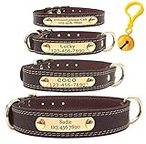 Mihqy Personalisiertes Hundehalsband aus Leder, mit graviertem Namensschild, mit Hundename und Telefonnummer,Persönlichen ID Halsband für Hunde,Für kleine und mittelgroße und große Hunde geeignet