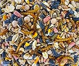 UGF - Vogelfutter Wildvögel Ganzjährig 5kg, Wildvögelfutter mit Sonnenblumenkerne, Mehlwürmer und Neun Weiteren Zutaten, Eine Einzigartige Kombination von Zutaten für die Ganzjährige Fütterung
